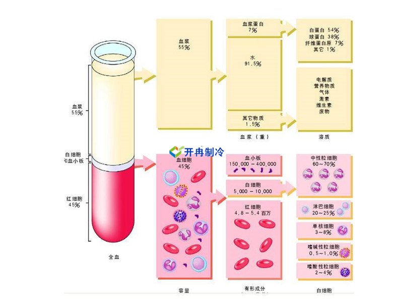 -30℃～-80℃血漿蛋白低溫冷凍庫(kù)規(guī)范，冷庫(kù)安裝價(jià)格